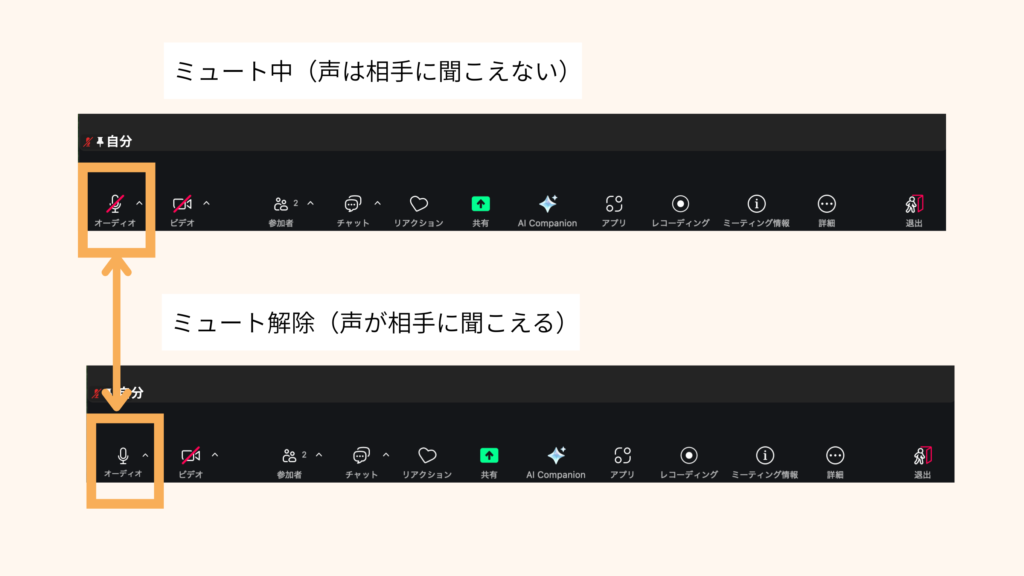 19 Click-the-microphone-icon-at-the-bottom-left-of-the-screen-to-mute-or-unmute